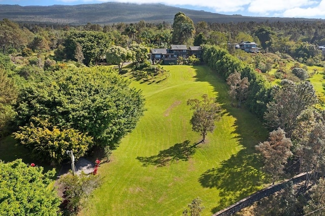 aerial view with a view of trees