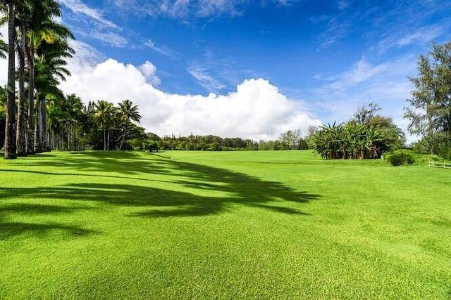 view of home's community with a lawn