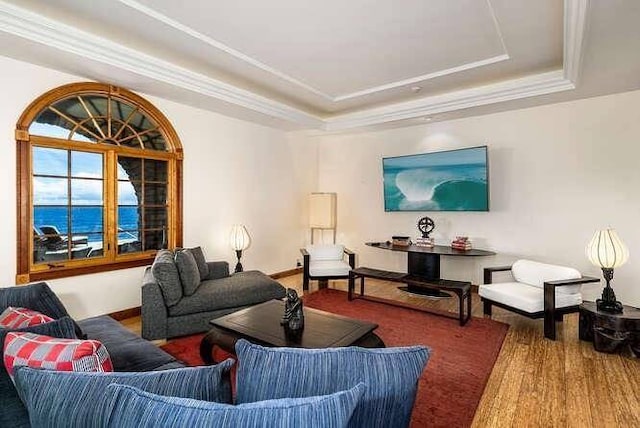 living room featuring a water view, dark hardwood / wood-style floors, and a tray ceiling