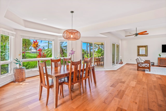 dining room featuring plenty of natural light, ceiling fan, light wood-type flooring, and a tray ceiling