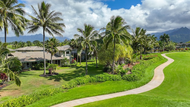 view of community featuring a mountain view and a lawn