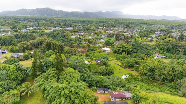 4373 Upa Rd, Koloa, HI 96756 - aerial view of property's location with a mountain backdrop