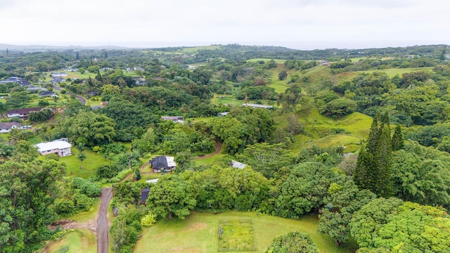 4373 Upa Rd, Koloa, HI 96756 - aerial overview of property's location