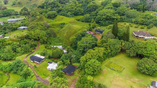 4373 Upa Rd, Koloa, HI 96756 - bird's eye view