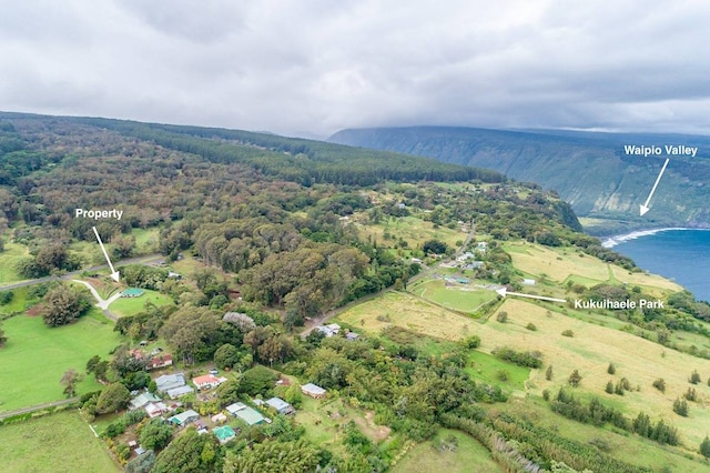 aerial view with a water view