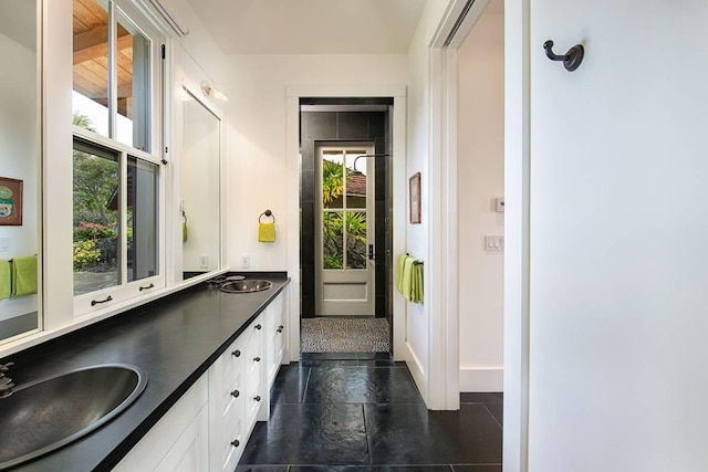 interior space with sink and a wealth of natural light