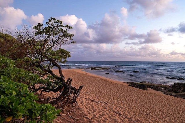 view of water feature featuring a beach view