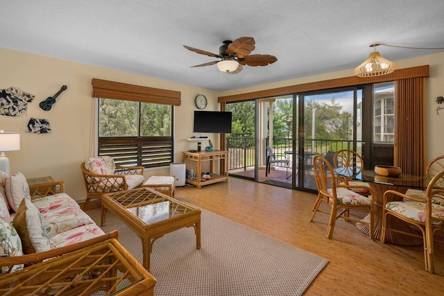 living room featuring light hardwood / wood-style floors, ceiling fan with notable chandelier, and a wealth of natural light