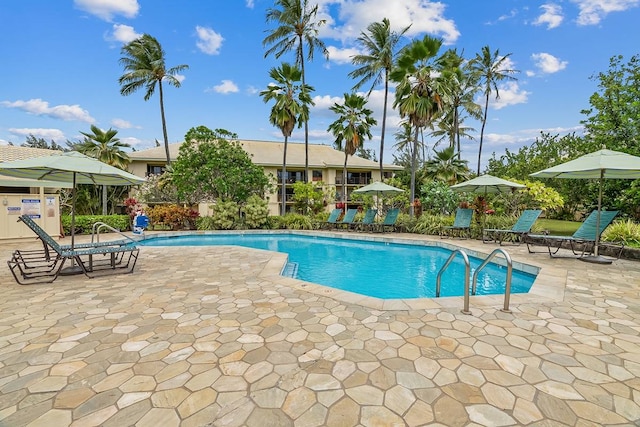 view of swimming pool featuring a patio area