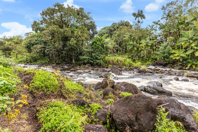 view of nature