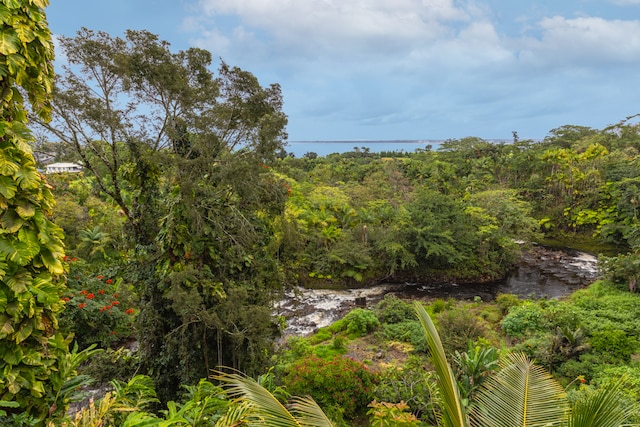 view of nature featuring a water view