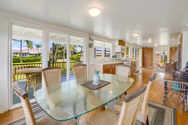 dining room featuring a healthy amount of sunlight and light hardwood / wood-style flooring