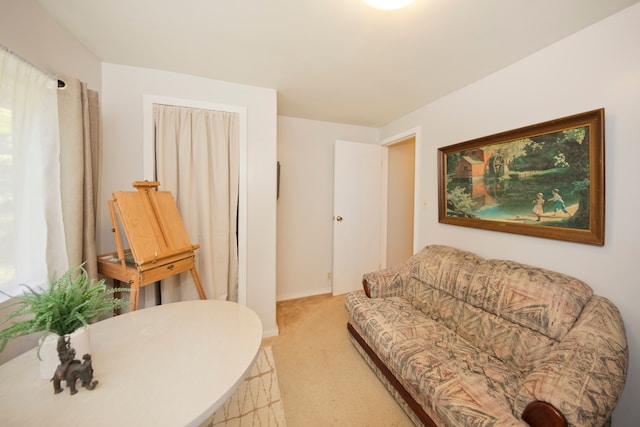 living room with carpet floors