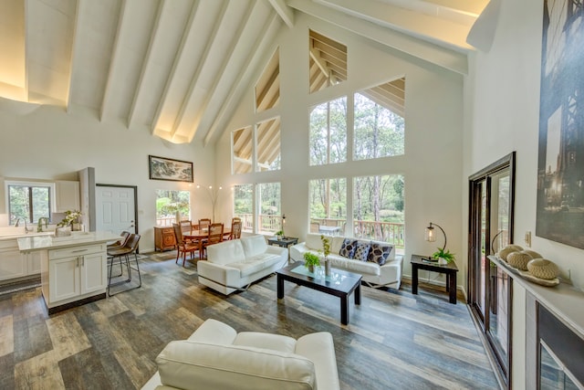 living room with beamed ceiling, high vaulted ceiling, dark hardwood / wood-style floors, and a healthy amount of sunlight