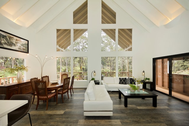 living room featuring high vaulted ceiling and dark wood-type flooring