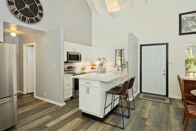 kitchen featuring a towering ceiling, white cabinetry, dark wood-type flooring, appliances with stainless steel finishes, and sink