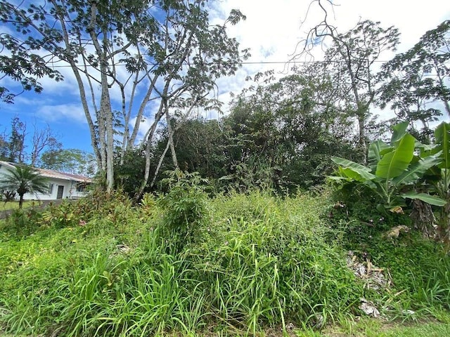 Moana St, Pahoa HI, 96778 land for sale