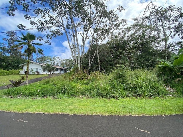 Listing photo 2 for Moana St, Pahoa HI 96778