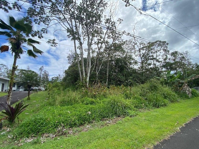 Listing photo 3 for Moana St, Pahoa HI 96778