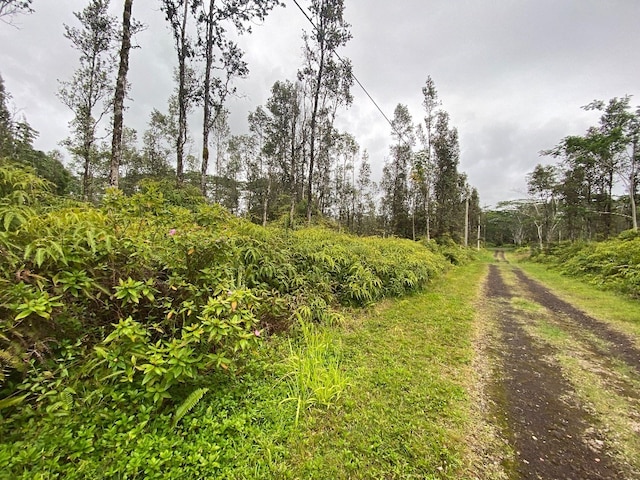 Listing photo 2 for Molokai Rd, Pahoa HI 96778