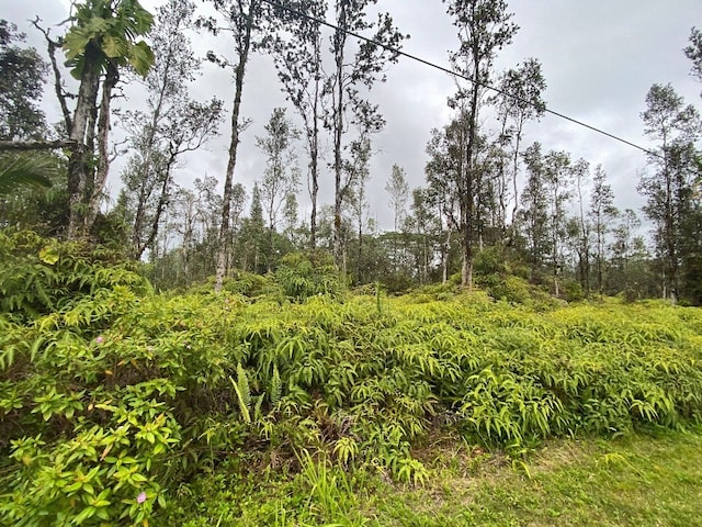 Listing photo 3 for Molokai Rd, Pahoa HI 96778