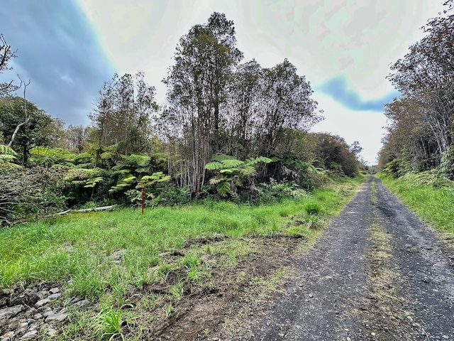 Makaala Rd, Mountain View HI, 96785 land for sale