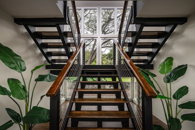 stairway with hardwood / wood-style floors