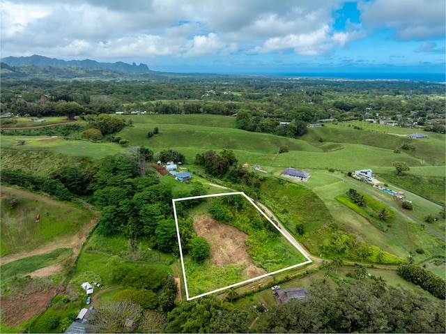 Listing photo 3 for Kipapa Rd Unit 1, Kapaa HI 96746