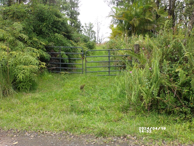 11-2202 Omeka Rd, Volcano HI, 96785 land for sale