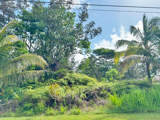 Listing photo 3 for Lalakea St, Pahoa HI 96778