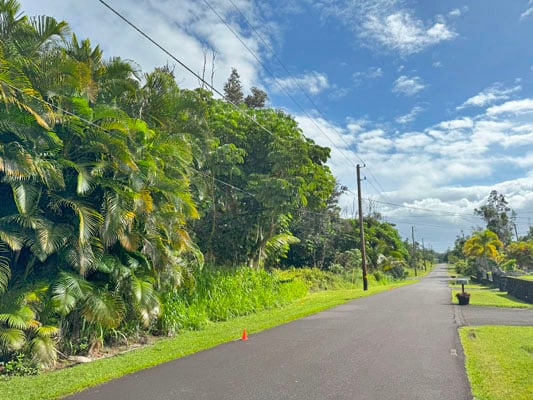 Listing photo 2 for Anae St, Pahoa HI 96778