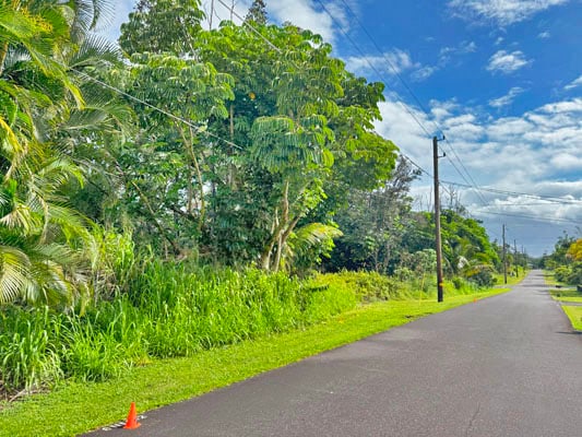 Listing photo 3 for Anae St, Pahoa HI 96778