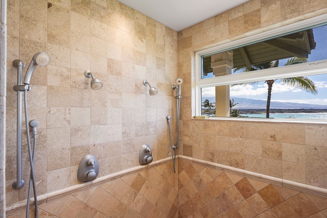 bathroom with a mountain view