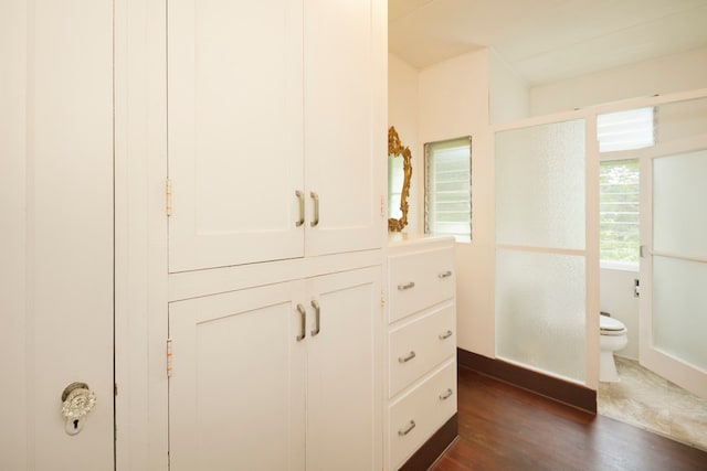 bathroom with wood-type flooring, vanity, and toilet