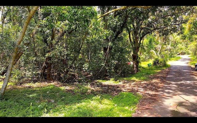 Listing photo 2 for Pahoa HI 96778