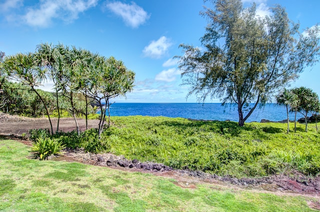 Government Beach Rd, Pahoa HI, 96778 land for sale