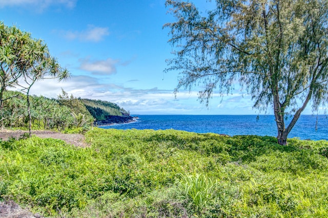 Listing photo 2 for Government Beach Rd, Pahoa HI 96778