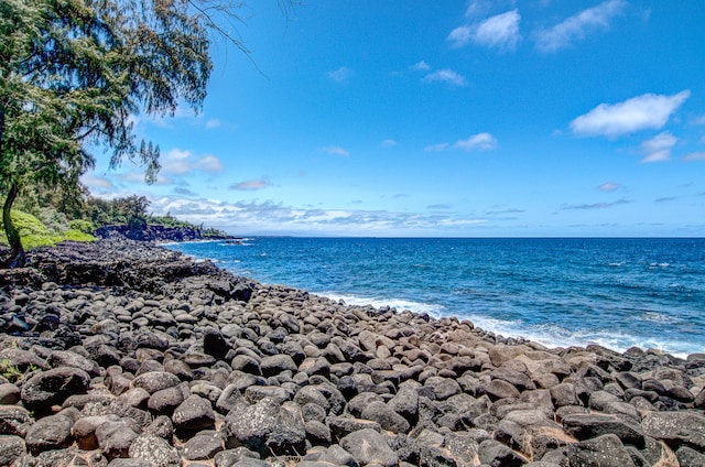 Listing photo 3 for Government Beach Rd, Pahoa HI 96778