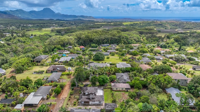 drone / aerial view with a mountain view