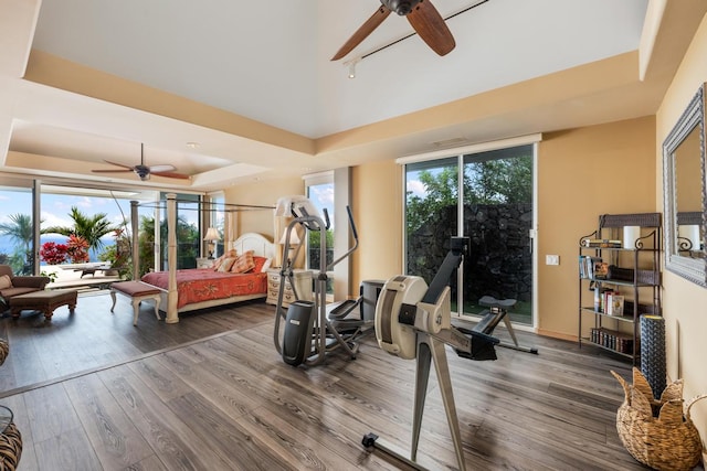 exercise area featuring hardwood / wood-style floors, ceiling fan, and a tray ceiling