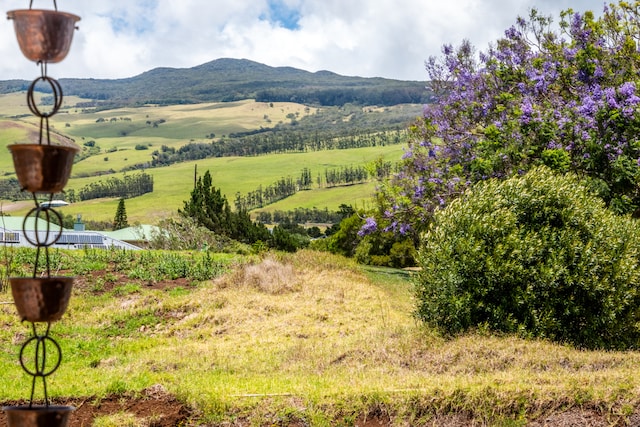 property view of mountains with a rural view