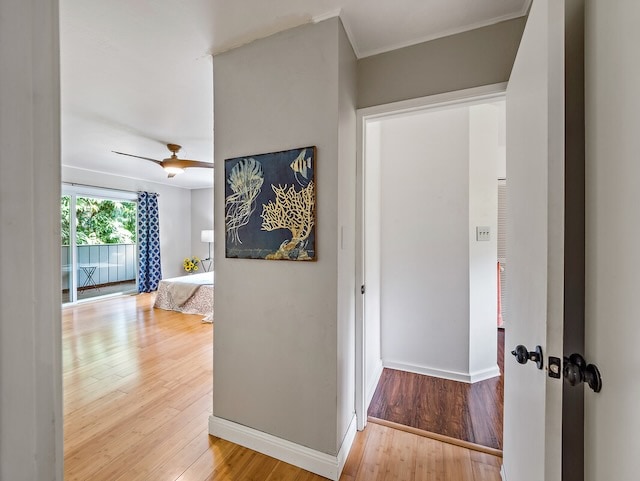 corridor featuring hardwood / wood-style floors