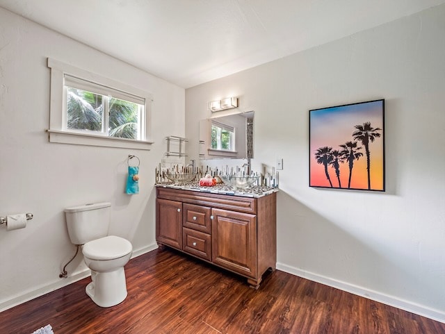 bathroom with wood-type flooring, vanity with extensive cabinet space, dual sinks, and toilet