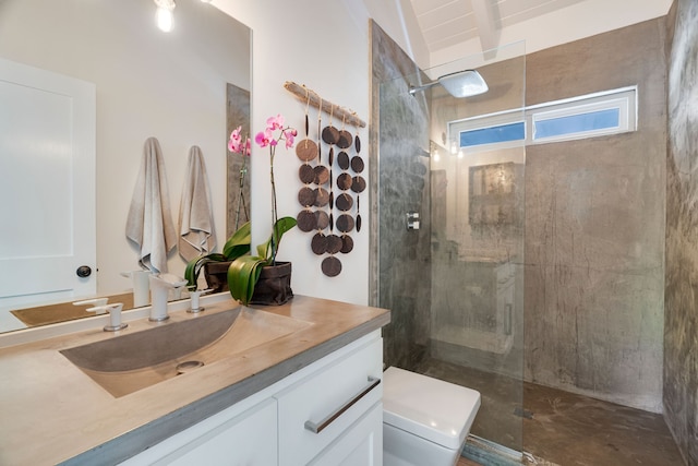 bathroom with vanity, a tile shower, and toilet