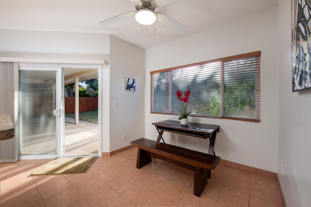 interior space with ceiling fan and a wealth of natural light