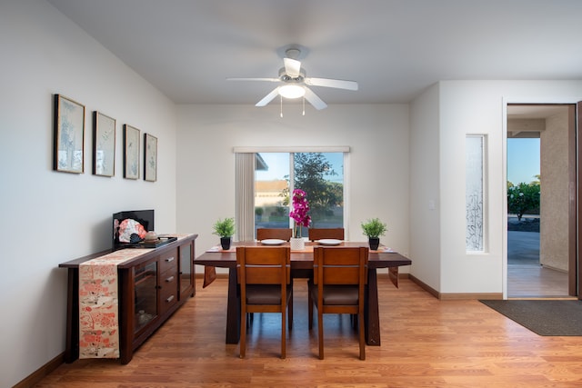 dining room with ceiling fan and light hardwood / wood-style flooring