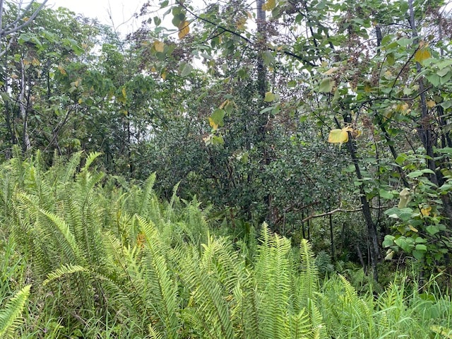 Pohakupele Loop, Pahoa HI, 96778 land for sale