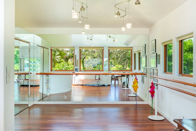 interior space featuring a wealth of natural light, wood-type flooring, and an inviting chandelier