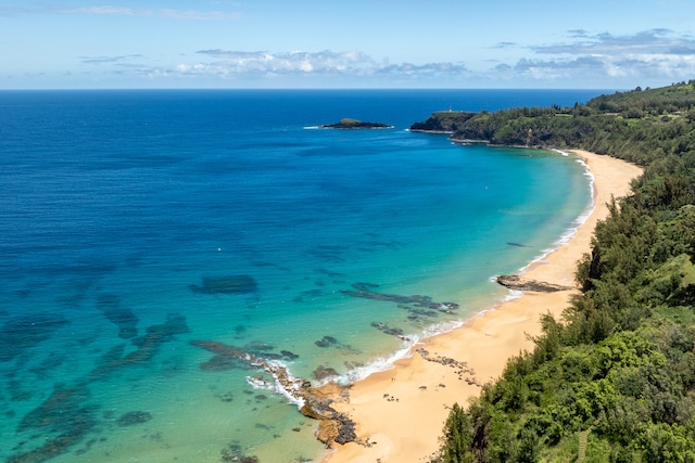 property view of water featuring a beach view