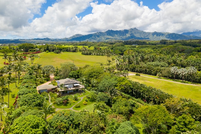 birds eye view of property featuring a mountain view